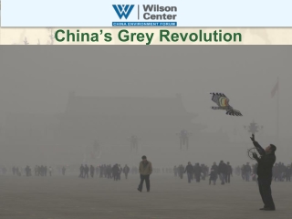 China’s Grey Revolution