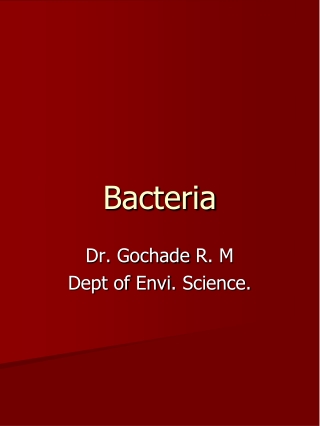 Bacteria