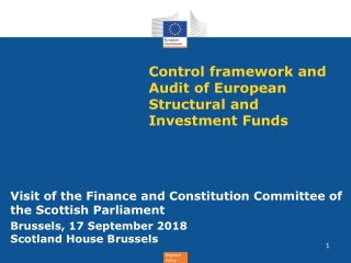 Control framework and Audit of European Structural and Investment Funds