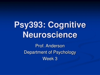 Psy393: Cognitive Neuroscience