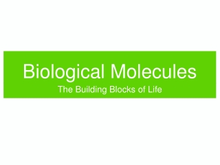 Biological Molecules