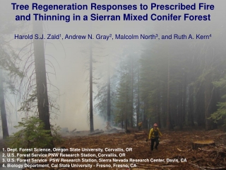 Tree Regeneration Responses to Prescribed Fire and Thinning in a Sierran Mixed Conifer Forest