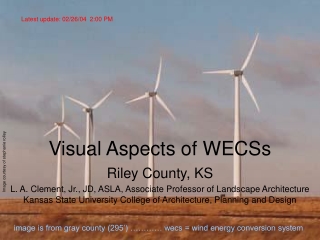 Visual Aspects of WECSs