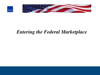 Entering the Federal Marketplace