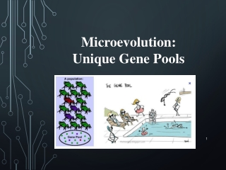 Microevolution:  Unique  Gene Pools