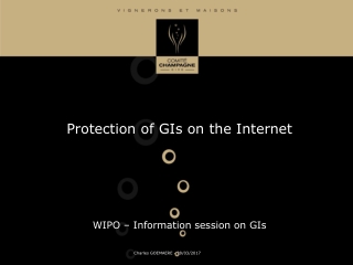 Protection of GIs on the Internet WIPO – Information session on GIs