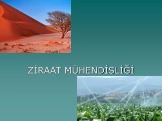 ZİRAAT MÜHENDİSLİĞİ