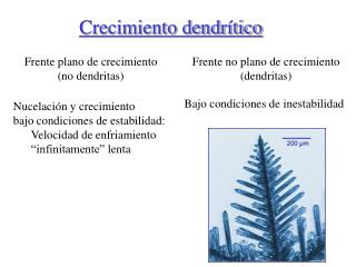 Crecimiento dendrítico