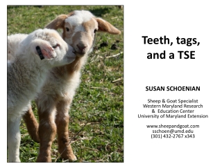 Teeth, tags, and a TSE