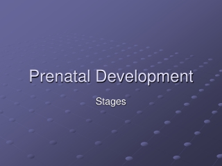 Prenatal Development