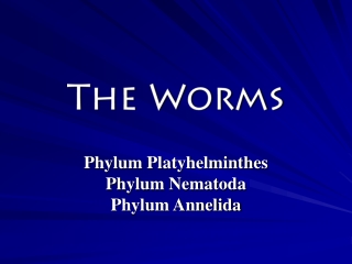 The Worms