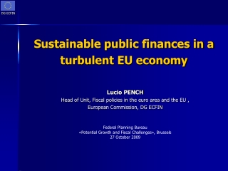 Sustainable public finances in a turbulent EU economy