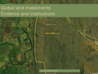 Global land investments  Evidence and implications