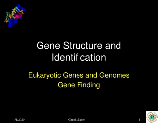 Gene Structure and Identification