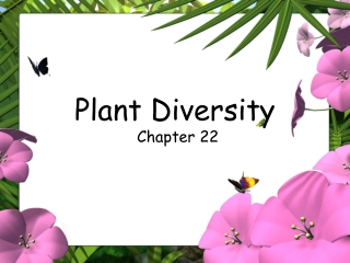 Plant Diversity