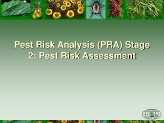 Pest Risk Analysis (PRA) Stage 2: Pest Risk Assessment