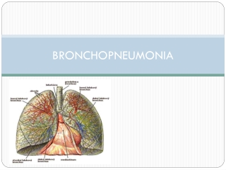 BRONCHOPNEUMONIA