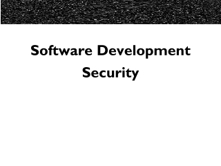 Software Development Security