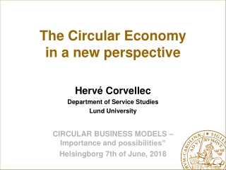 The Circular Economy  in a new perspective