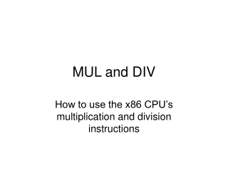 MUL and DIV