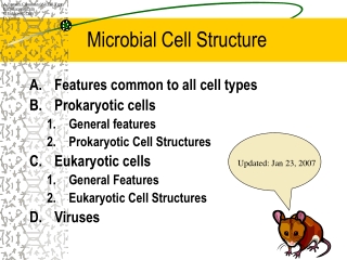 Microbial Cell Structure