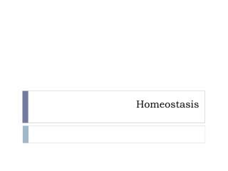 Homeostasis