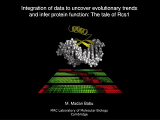 Integration of data to uncover evolutionary trends  and infer protein function: The tale of Rcs1