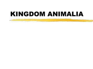 KINGDOM ANIMALIA