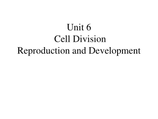 Unit 6  Cell Division  Reproduction and Development