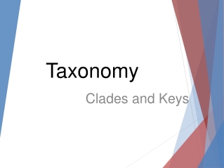 Taxonomy