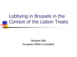 Lobbying in Brussels in the Context of the Lisbon Treaty