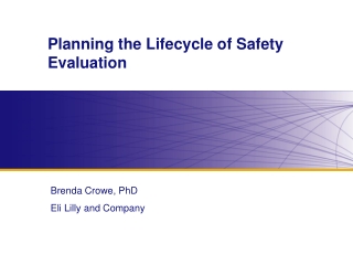 Planning the Lifecycle of Safety Evaluation