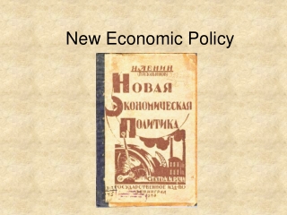 New Economic Policy