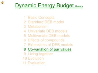 Dynamic Energy Budget  theory