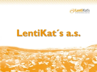 LentiKat´s a.s.