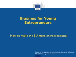 Erasmus for Young Entrepreneurs