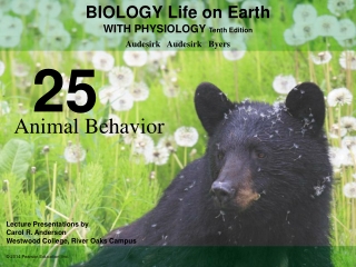 Animal Behavior