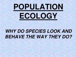 POPULATION ECOLOGY