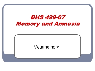 BHS 499-07 Memory and Amnesia