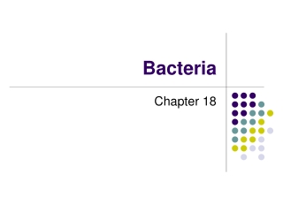 Bacteria