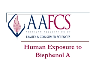 Human Exposure to  Bisphenol A