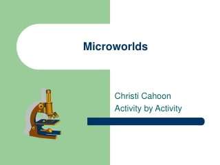 Microworlds