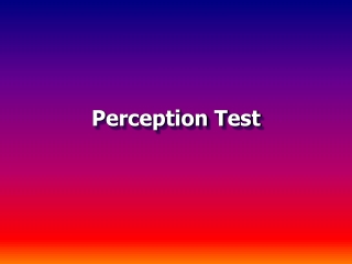 Perception Test