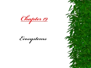 Chapter 19