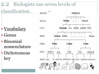 2.2    Biologists use seven levels of classification .
