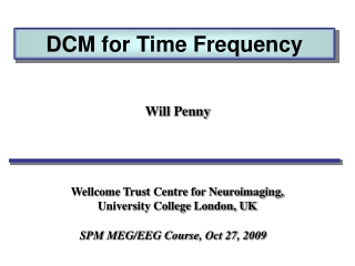 DCM  for  Time Frequency