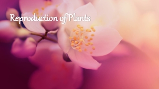 Reproduction of Plants