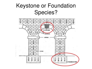 Keystone or Foundation Species?