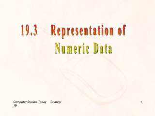 19.3    Representation of             Numeric Data