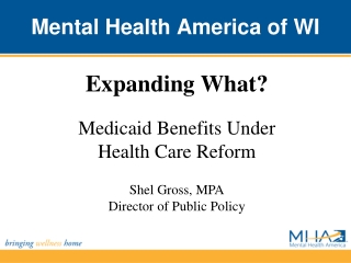 Mental Health America of WI